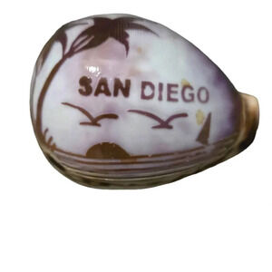 San Diego Seashell Home Decor